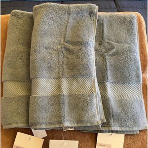 Set of three Nordstrom hydrocotton hand towels (Free Shipping Today)